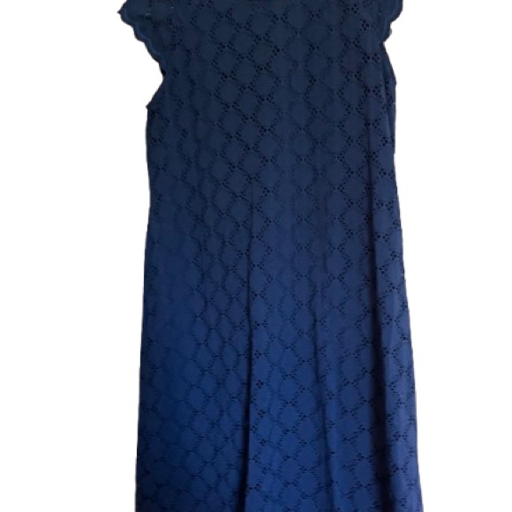 Ronni Nicole Blue Sheath Dress with Flutter Cap Sleeves